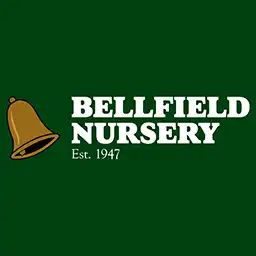 (c) Bellfieldnursery.co.uk